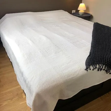 Linden Flower Subotica