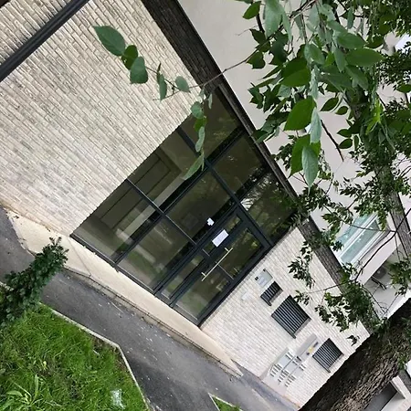 Linden Flower Daire Subotica