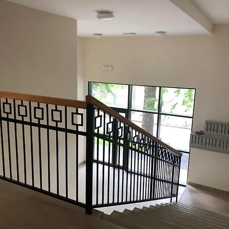 Linden Flower Subotica